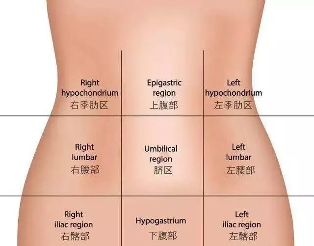 一张腹部地图找出你的腹痛病因 - itotii