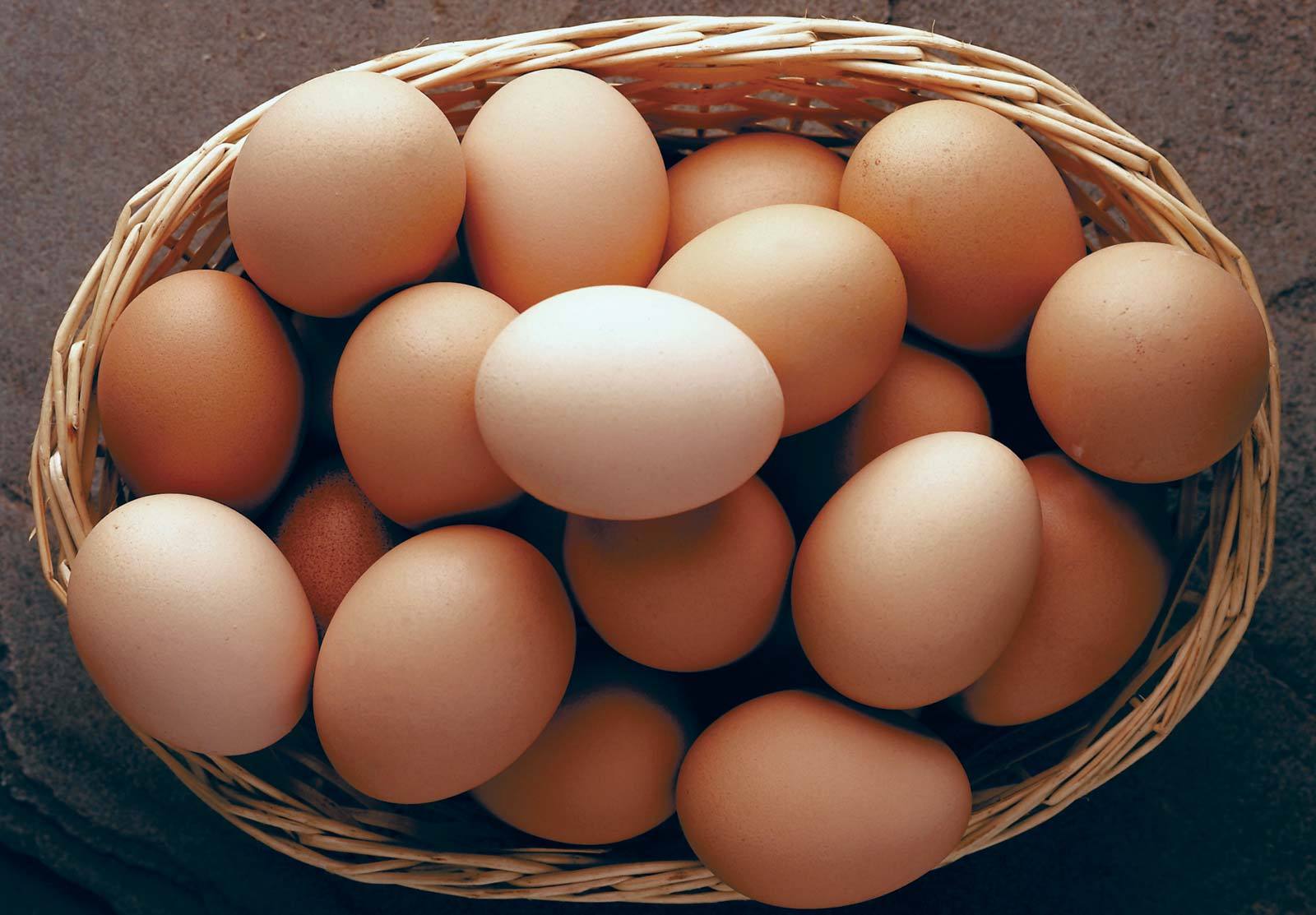 推特网友分析《日本人平均只有1.02颗蛋蛋》！现今男人面临「缺蛋」的危机？！ - itotii