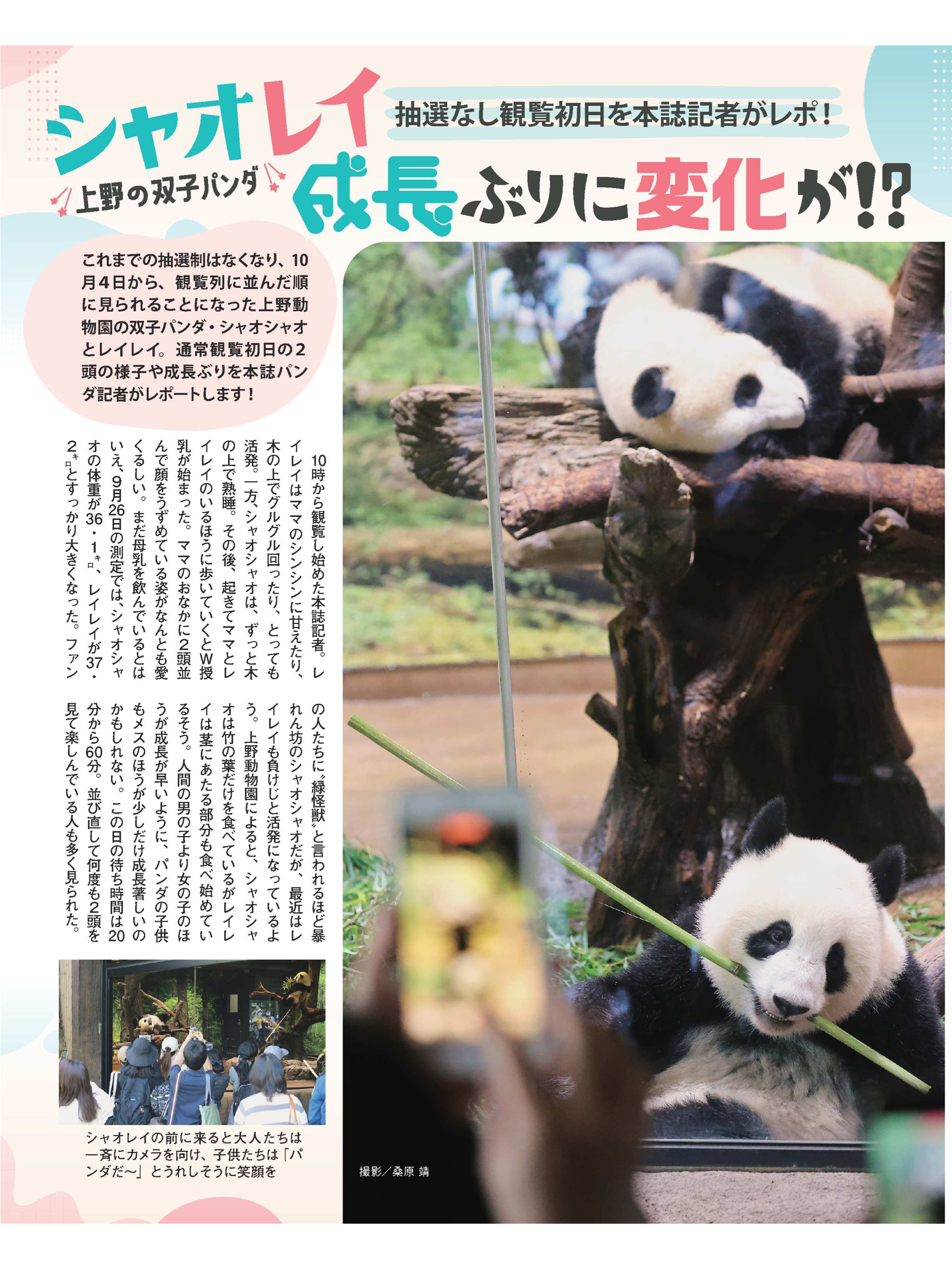 熊猫 女性自身2022年11月1日号 - itotii