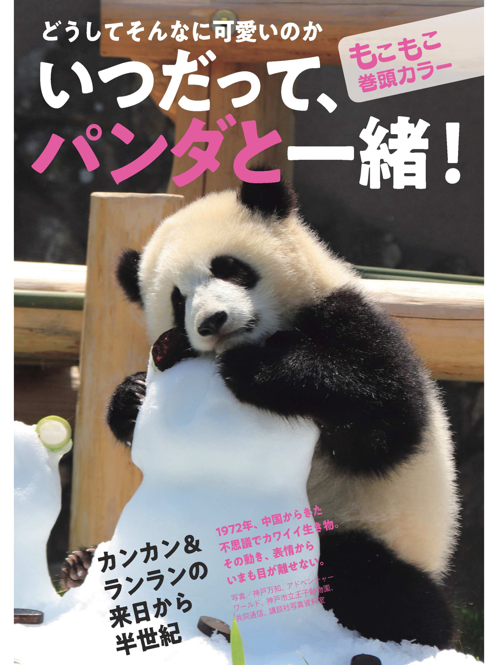 熊猫 週刊現代 2022年11月5日号 - itotii