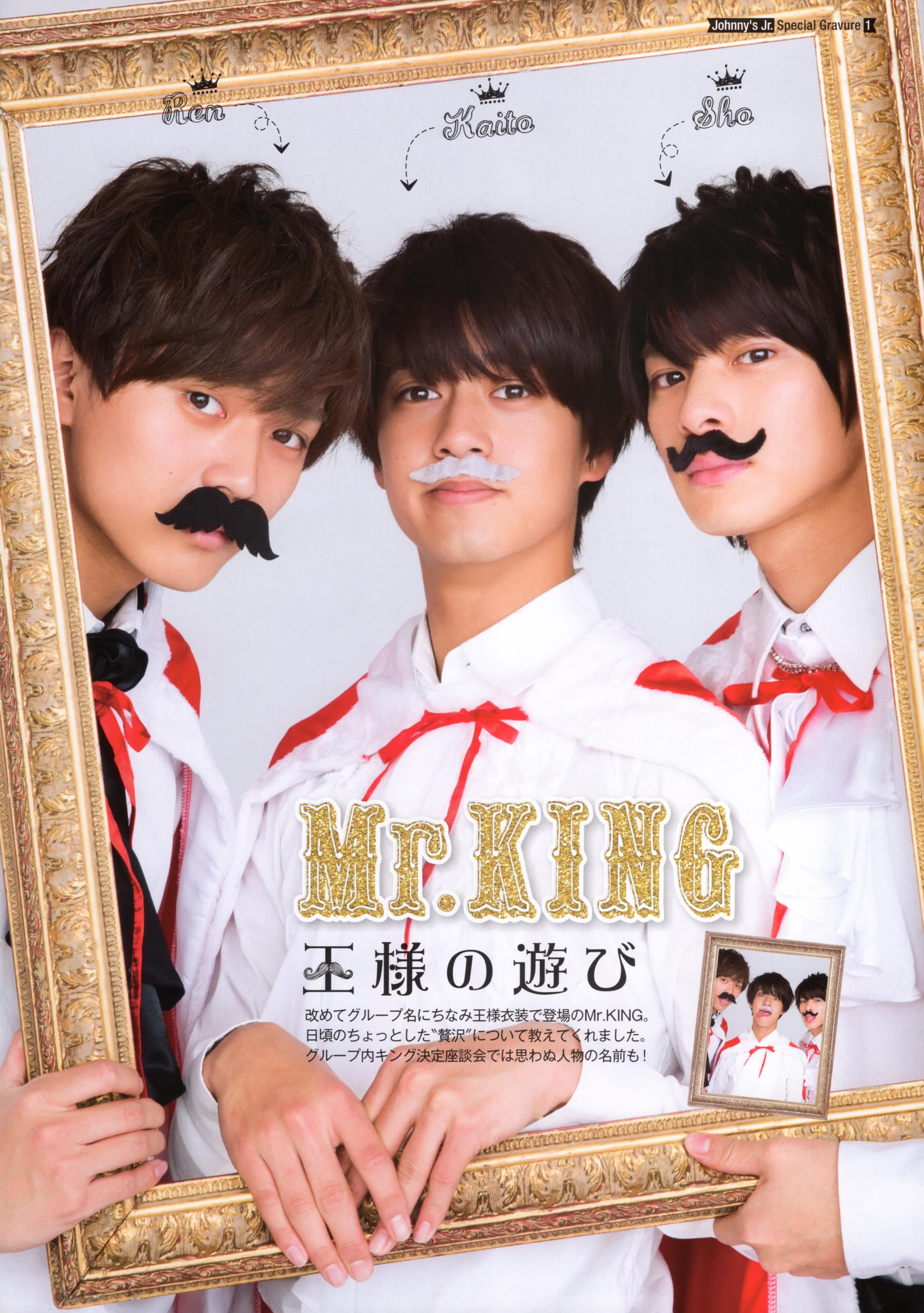 King & Prince TVガイドPLUS Vol.26 - itotii