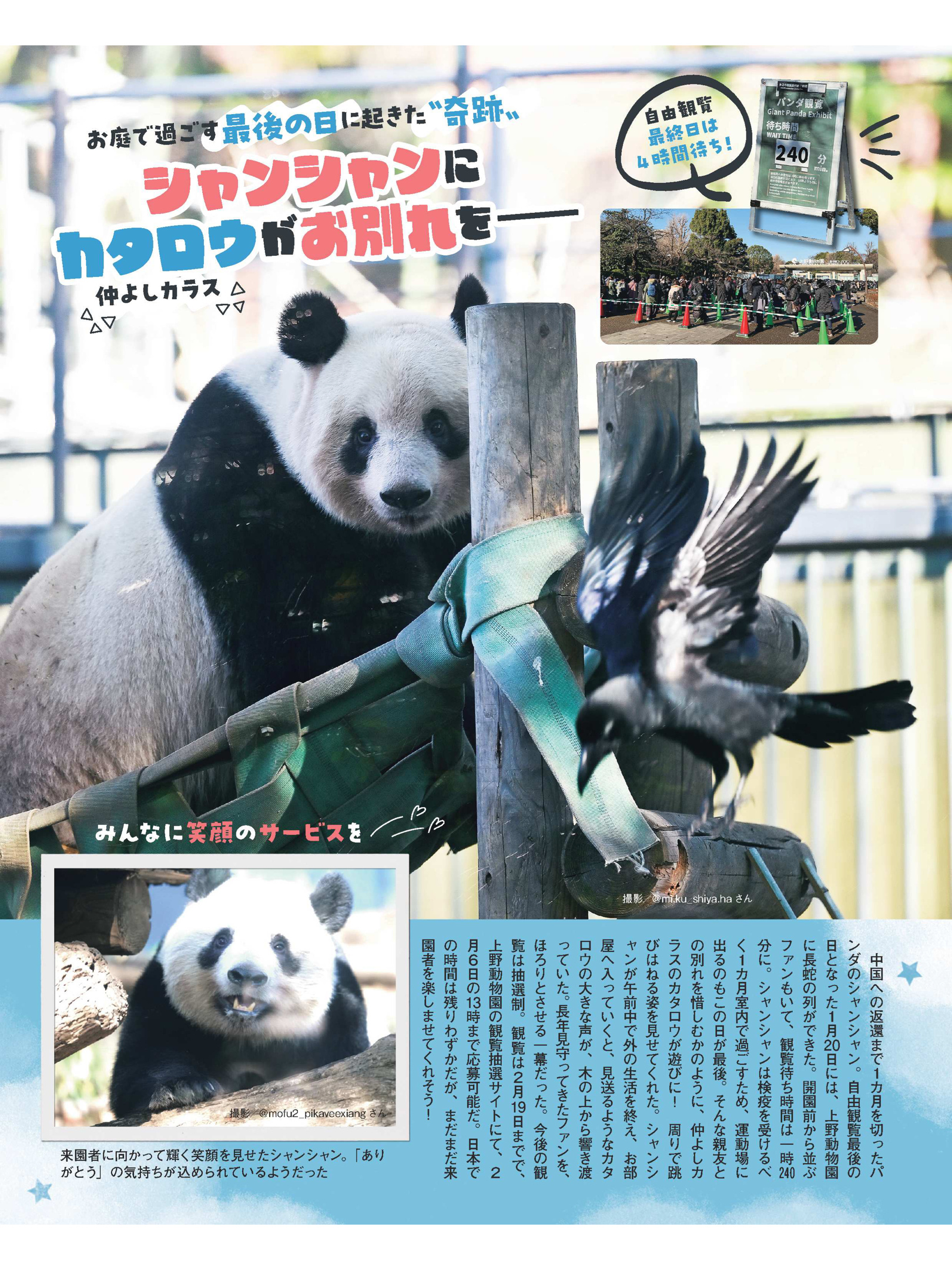 熊猫 女性自身2023年2月14日号 - itotii